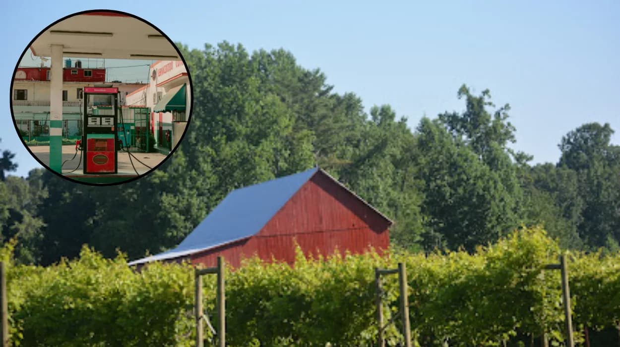 Bolton plan amid fuel shortage fears update in 2026