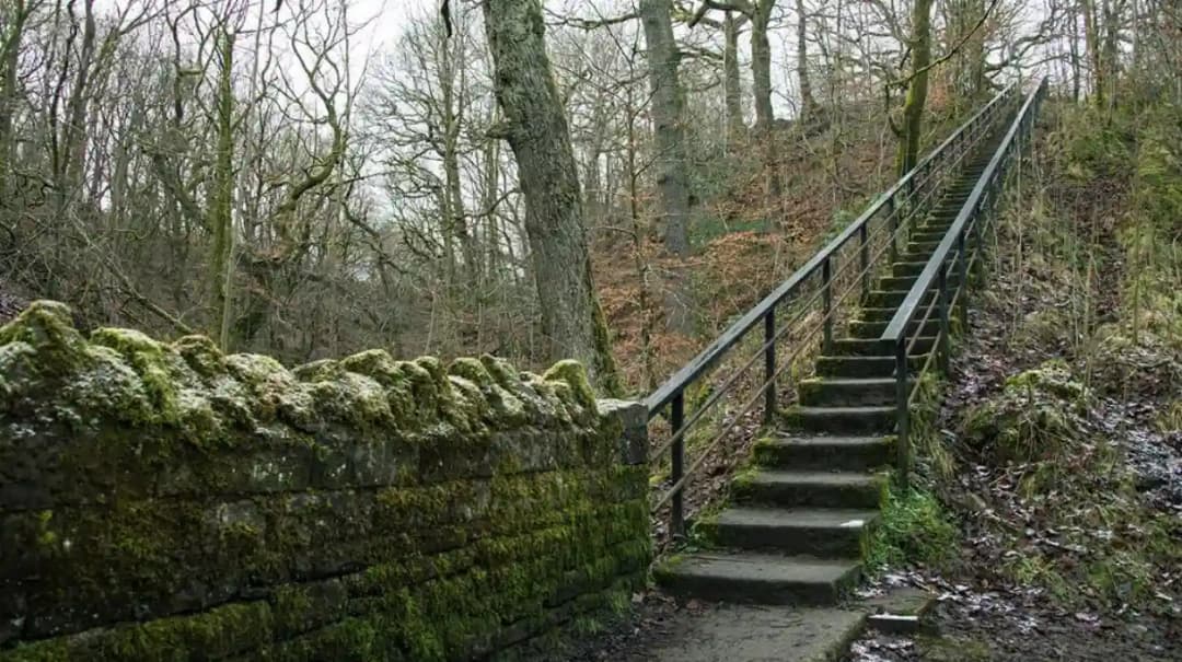 Best Woodland Walks and Trails in Smithills, Bolton