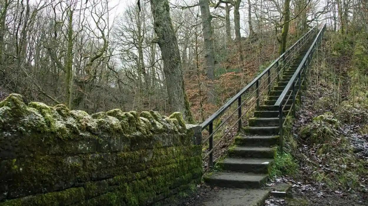 Best Woodland Walks and Trails in Smithills, Bolton