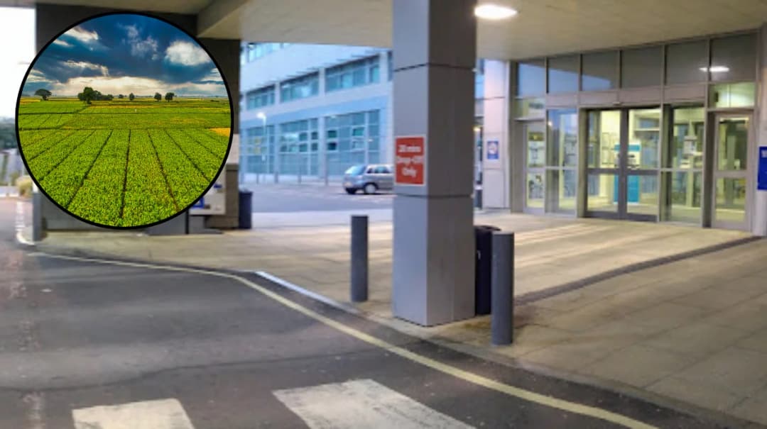 Bolton fire exposes cannabis farm in empty house 2026