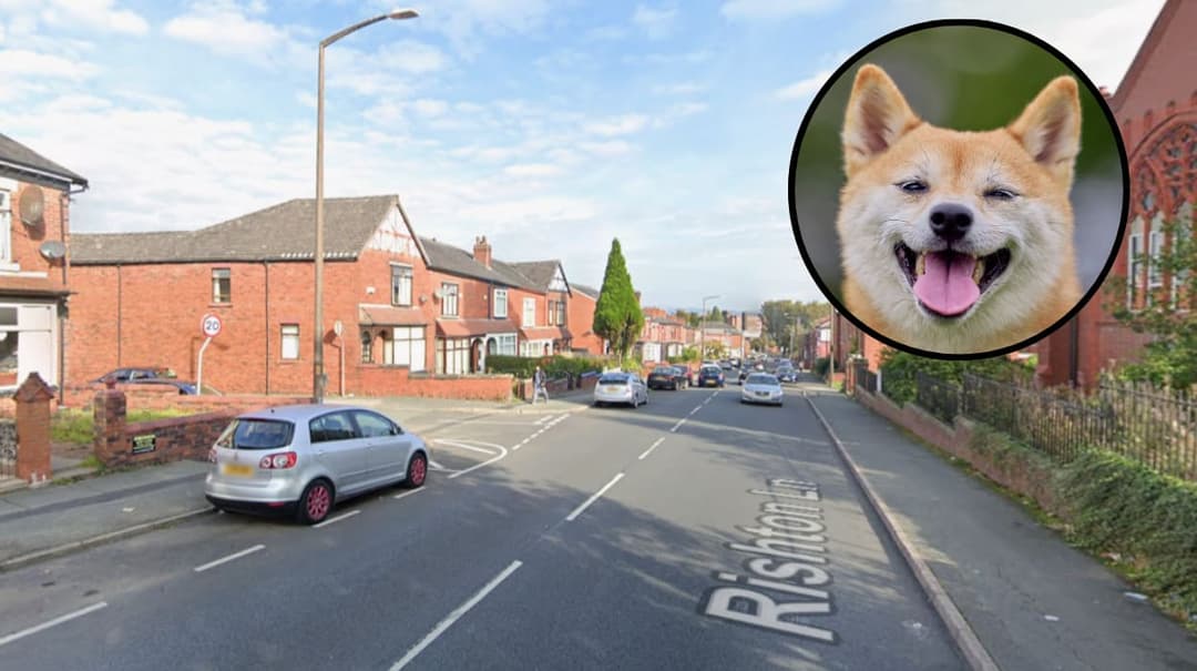 Police ID dog breed in Bolton girl attack 2026