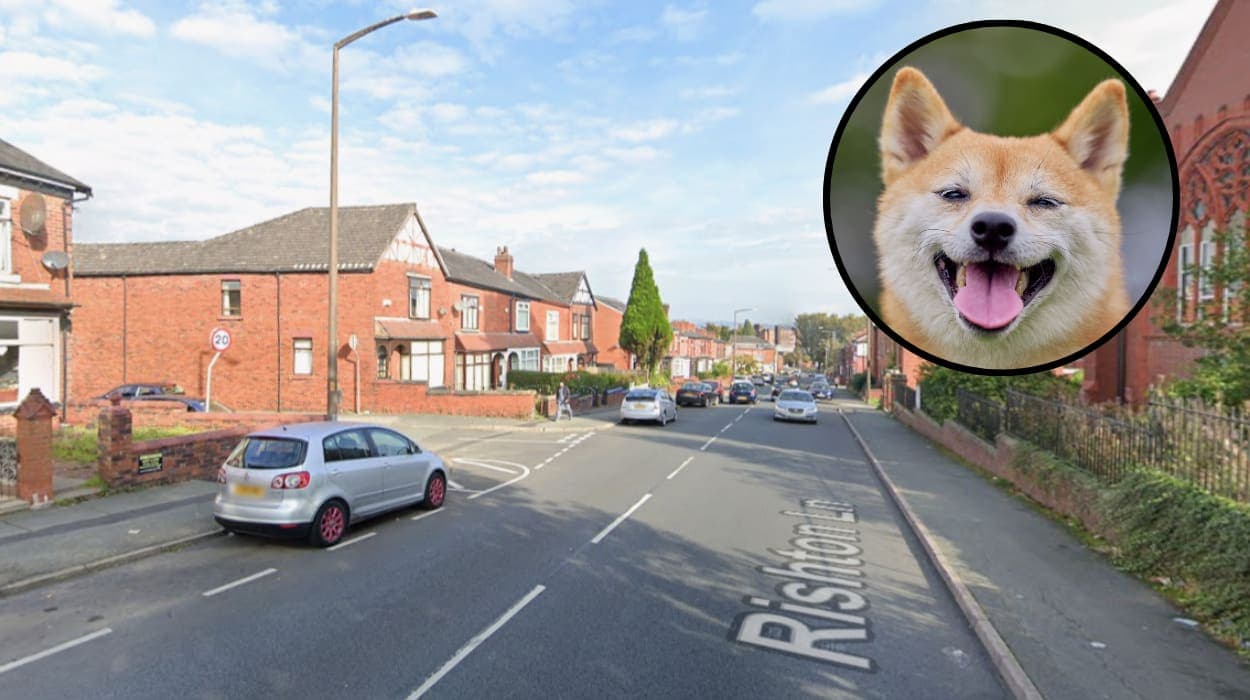 Police ID dog breed in Bolton girl attack 2026