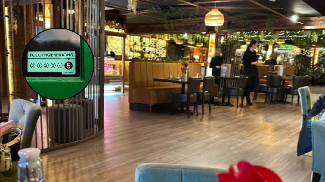 Bolton Takeaways Face 0 Hygiene Ratings | Urgent Fixes