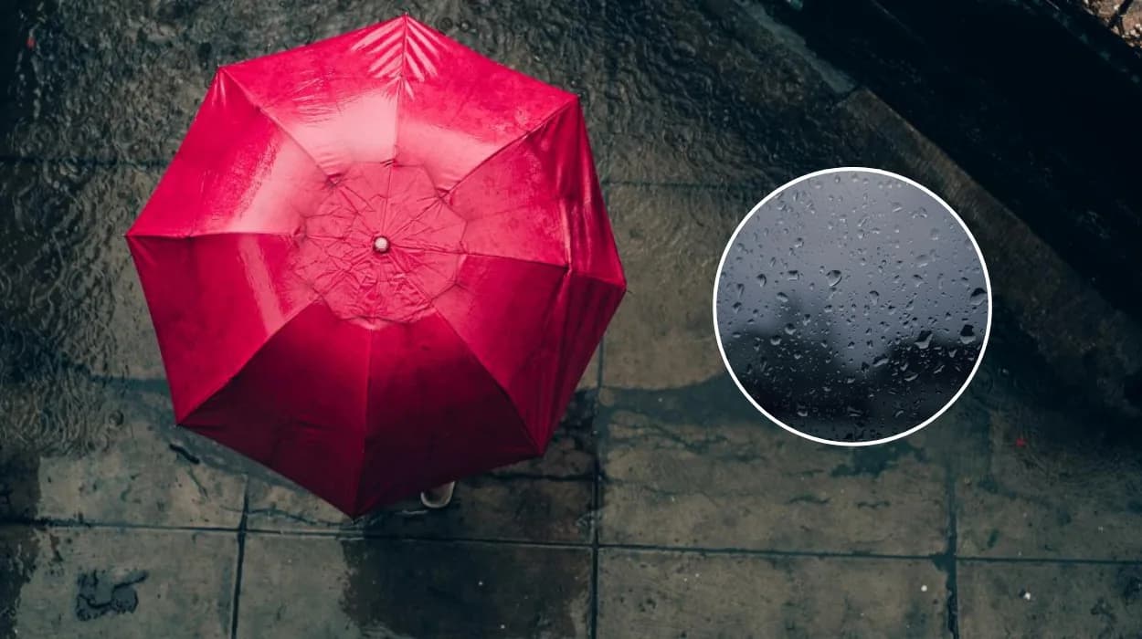 Bolton-Weekend-Weather-Forecast:-Rain-and-Overcast-skies-image