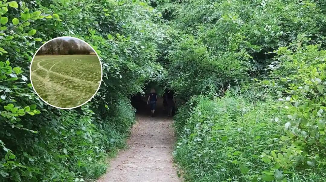 Vandals Rip Ridgmont Park with Quads in Horwich