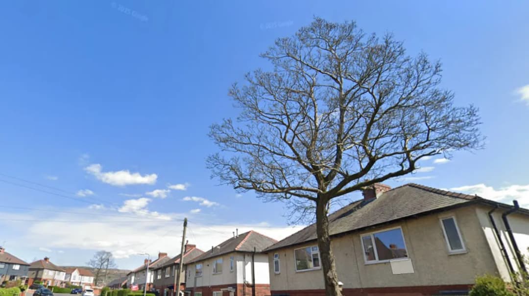 Rivington Chase £19M Link Road Delays Impact Housing Project