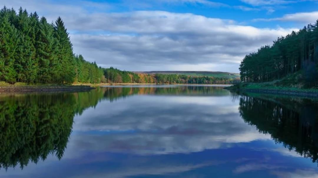 Belmont Reservoir Walks: Peaceful Weekend Nature Adventures in Belmont
