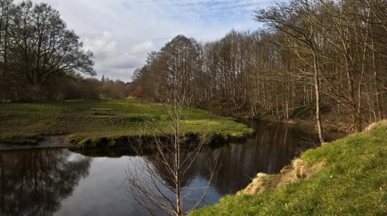 Best Dog-Friendly Walks at Longsight Park and Bradshaw Valley, Harwood