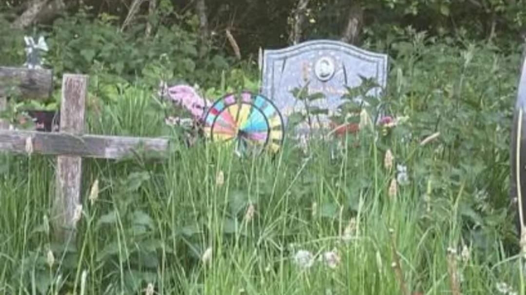 Overgrown Farnworth Cemetery Sparks Public Outrage: Maintenance Crisis in Farnworth 2026