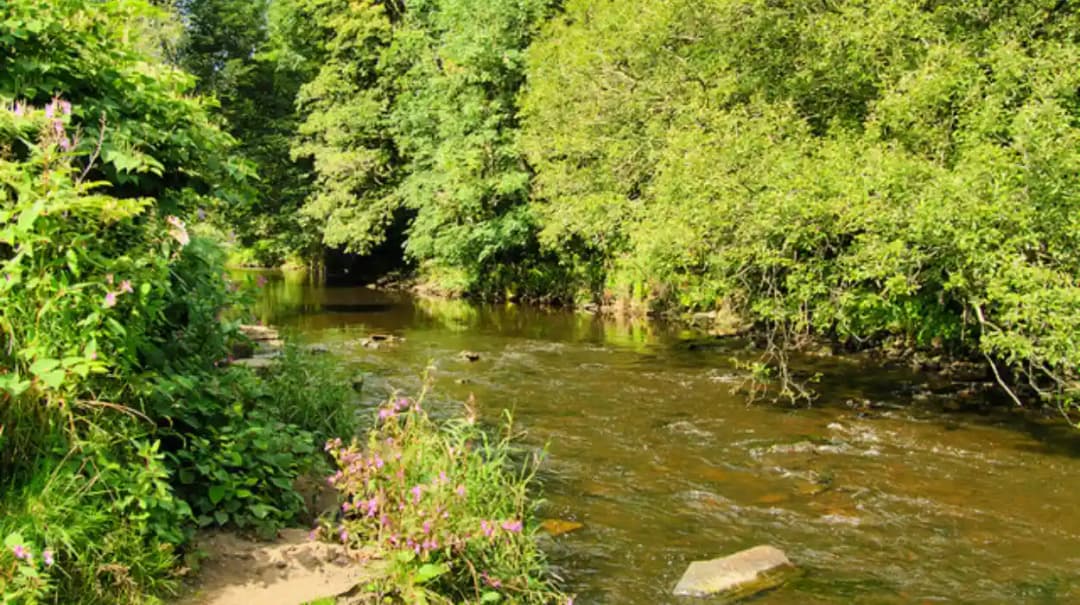 Best Riverside Walks and Heritage Trails Across Bolton