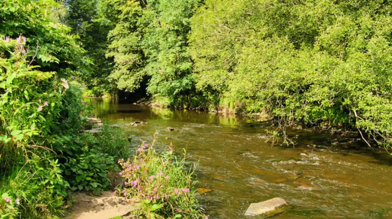 Best Riverside Walks and Heritage Trails Across Bolton